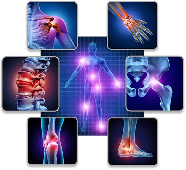 MobilityMD™ Advanced Joint, Muscle & Mobility Support